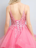 A-Line Prom Dresses Princess Dress Formal Floor Length Sleeveless V Neck Tulle Backless with Pleats Appliques 2023