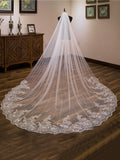 Luxurious Tulle With Lace Long Wedding Veils