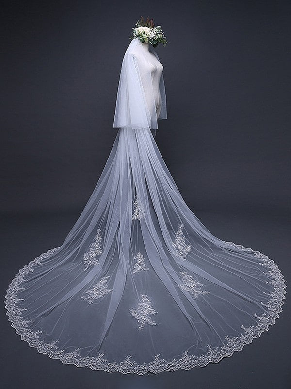 Charming Tulle With Lace Wedding Veils