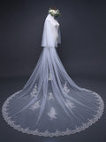 Charming Tulle With Lace Wedding Veils